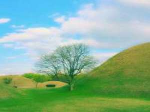 一个懂你泪水的朋友，