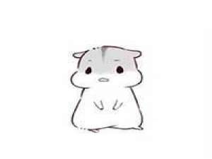 对你的別致 我始终不