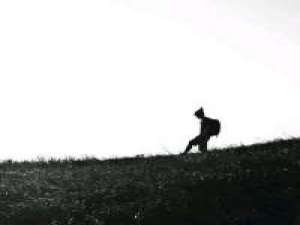 一定是特别的缘分 期许和信任给的太多，