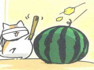 猫咪老师 不要总是做一些道德式