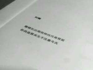 这林间是你 朝夕是你 我的人间都是你