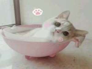 你是年少的欢喜。喜欢