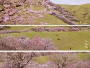 后来 减肥没有那么容易，每