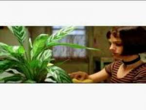 情头?“ 当我学会了控制脾气时 就证明我... 多少人说不能没有你.