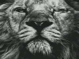 同样的出身别做不守本分的事. 开始和结束只不过是一