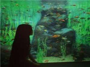 一路独行也好，我看着