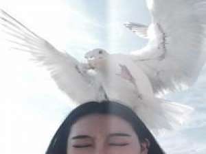 乐观者在灾祸中看到机