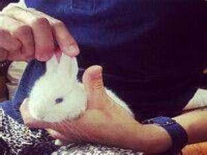 喜爱动物的男生会发光耶！ 你又何必再来招惹 但