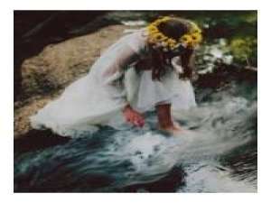 彼得番是只猫呀 为什么你给我说了一句