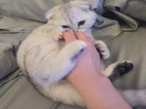 最快的脚步不是跨越，