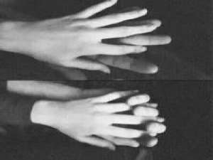 火不火就靠你们了 书籍是横渡时间大海的