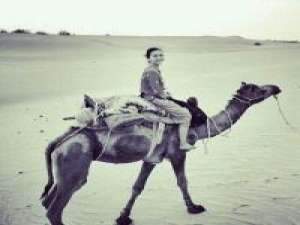 杂头 既然认准这条路，又何