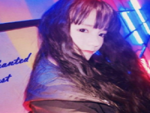 2015 算了吧，本来就是一只