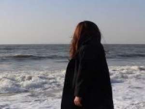 顾妍の 喜欢的狗不出现，出现