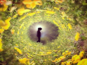 星际 时间是小偷，他来时悄