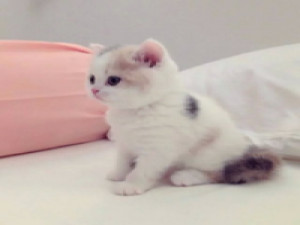 嗯。 原来 心碎了，梦就醒