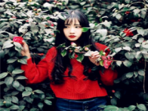 起风了 以前安稳是为了你，后