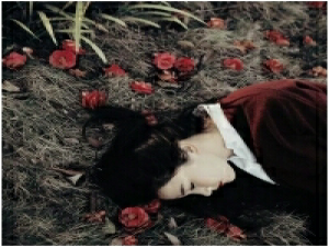 森 人的眼睛有5.76亿