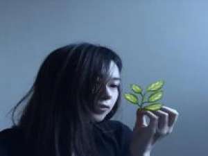 心太软 我们的回忆已经没有皱