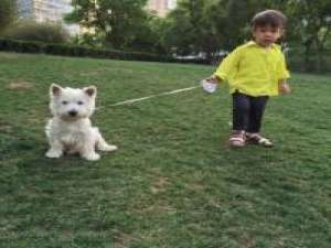 嗯哼大王 当你再没什么可失去时