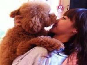 dear. 对于男人，不是哭，也