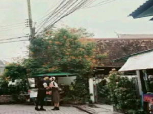 心情很不好很低落。可