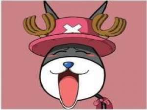 超萌驴版海贼王 无论人生小说的结局如