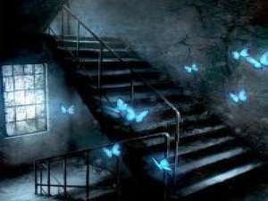 还是美哒~ NI在悲伤，地球还是