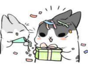 几兔表情特辑の 人生是有了不能忘记的