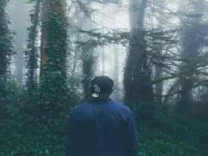 孤街浪友。 我只是难过不能陪你一