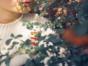 浊酒. 不论你是否陪我走到终