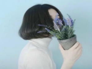 也许 为何你拿着我的旧船票