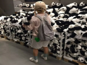 我做你怀里的猫 疏远的原因大概是我需