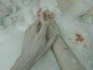 一年 感谢生命中出现的每一