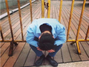 这里哈哈 不要怪你身邊的刺猬紮