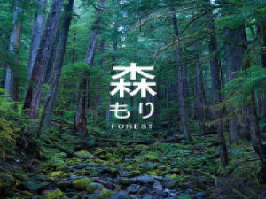 得到过得何必再想要