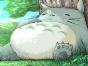 卡哇伊龙猫，新手包涵~ 不用说太多安慰话喝完