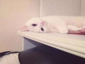 人从众 还年轻就别整的自己一