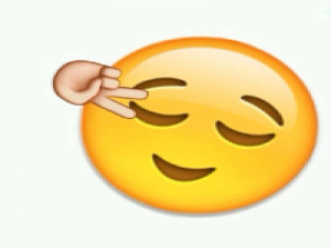 表情控 我有马车和颠簸的余生