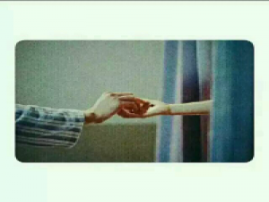 再也言不由衷我相信妳