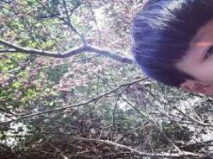 你哪里是念旧 你只是现在过得不幸福罢了 偶尔难过 时常回忆