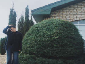 顾意琛 当你回想曾经往事时，