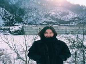 SAKURA 可就是有那么一点难过