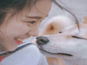 囍静 “我会去找一个天使。