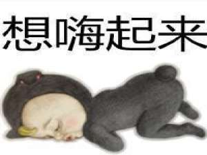 不看你别喷. 生命因为有限所以才宝