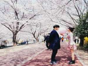 无需多言。 只有默默地爱默默的等