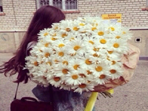 如果可以，我愿意把所