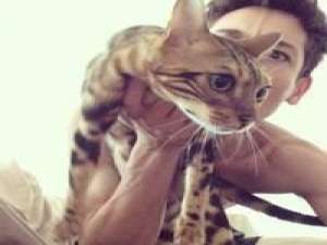 一个女人一定要有自己