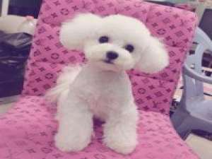 曲多多么么哒 我不喜欢说爱、只喜欢