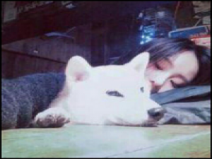 只要有快递还在路上，